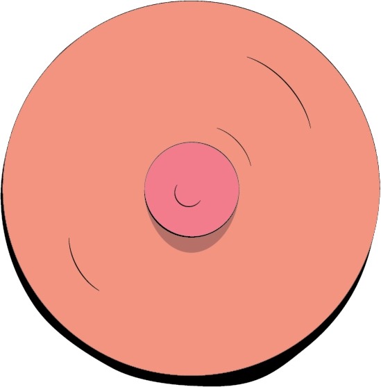 https://drbramkaufman.com/wp-content/uploads/2020/08/nipple-surgery.jpg